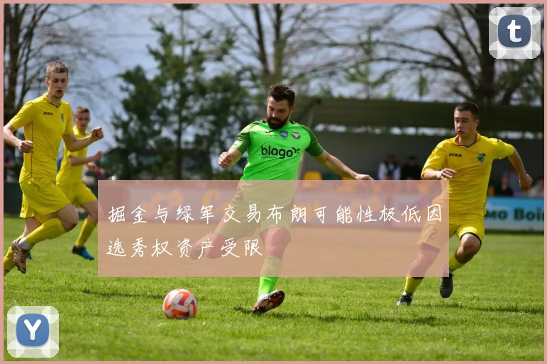 掘金与绿军交易布朗可能性极低因选秀权资产受限